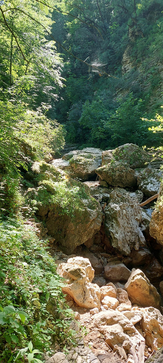 10_Адыгея_540_1199_наша